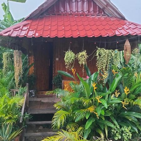 Odambang Village Homestay Баттамбанг Экстерьер фото
