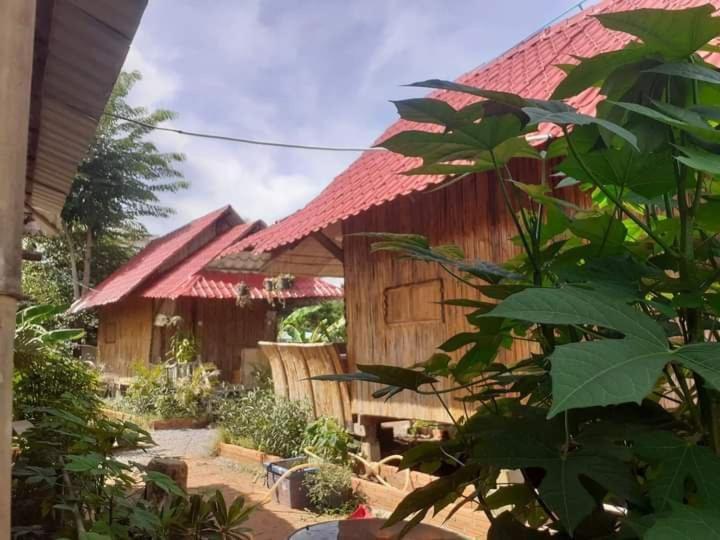 Odambang Village Homestay Баттамбанг Экстерьер фото