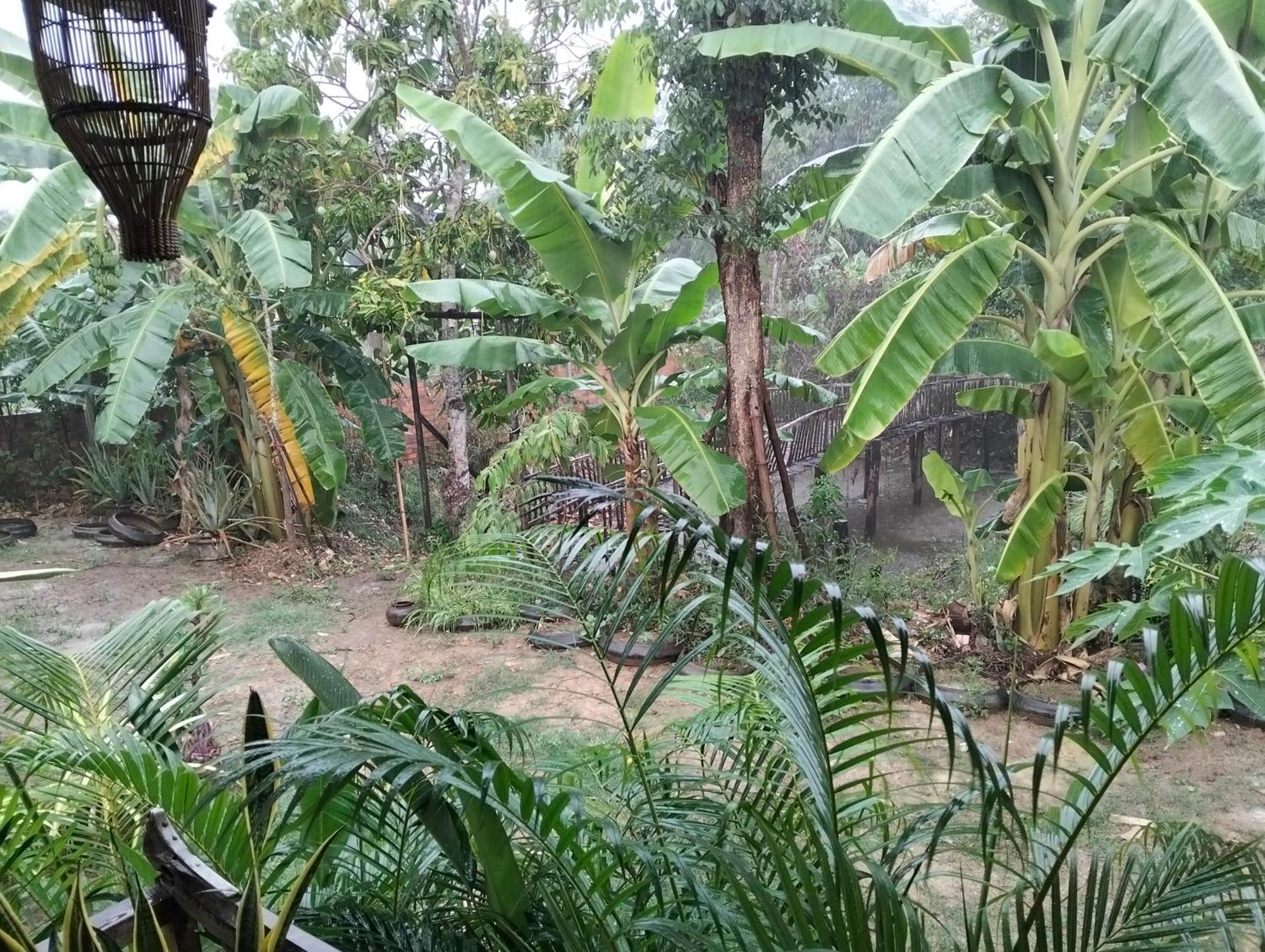 Odambang Village Homestay Баттамбанг Экстерьер фото